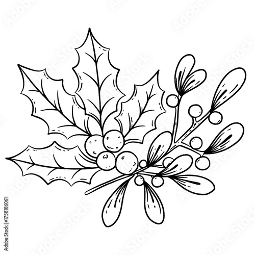 Christmas LineArt Mistletoe and Holly Berry
