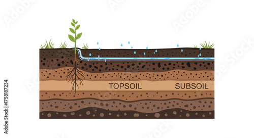 Soil Layers with Plant and Irrigation System Illustration.