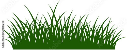 Lush green grass blades create a natural border for vibrant spring and summer designs