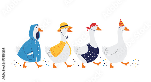 A delightful parade of four dressed-up geese walks in a line.