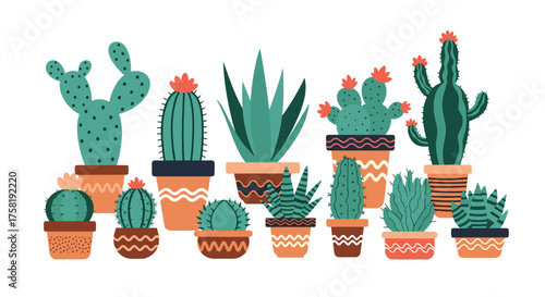 A delightful collection of various potted cacti and succulents arranged artfully.