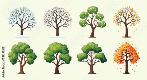 Four Seasons Tree Illustration Depicting Seasonal Changes in Nature
