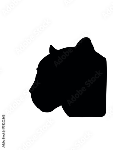 vector illustration silhouette of jaguar face
