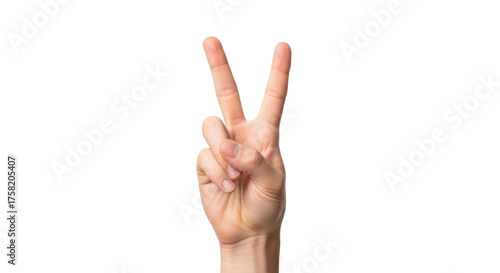 Tableau sur toile Isolated human hand showing victory sign, symbol of peace, or number two, caucas