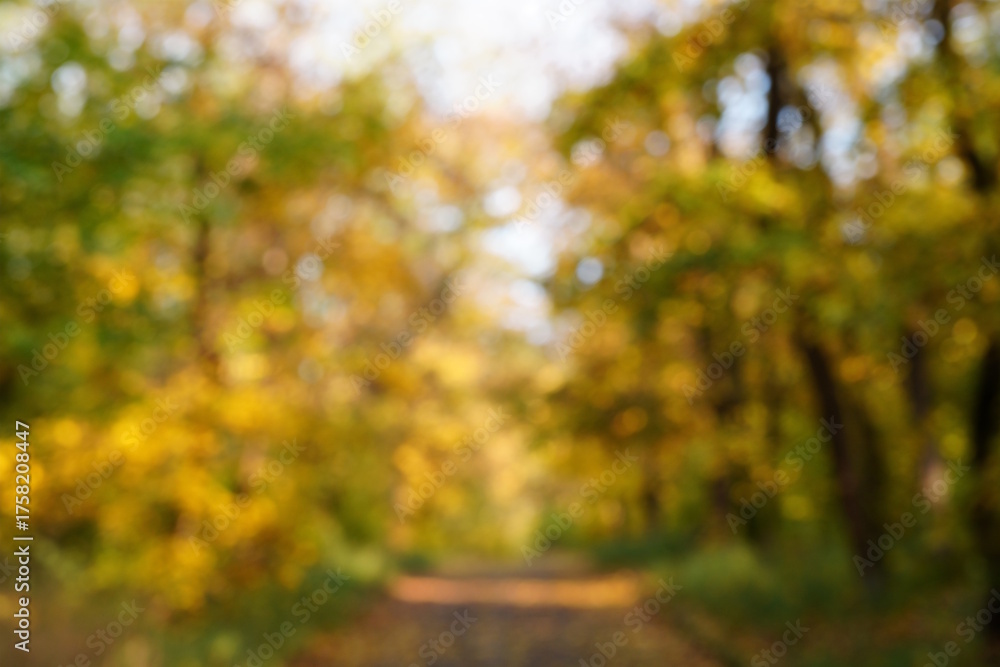 Fototapeta premium Blurred background. Green and yellow leaves in the grove.