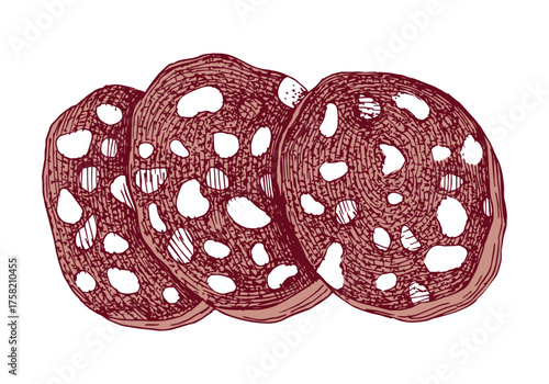 Sliced salami sausage hand drawn vector