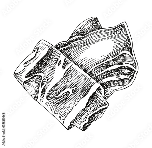 Prosciutto or Spanish jamon hand drawn vector
