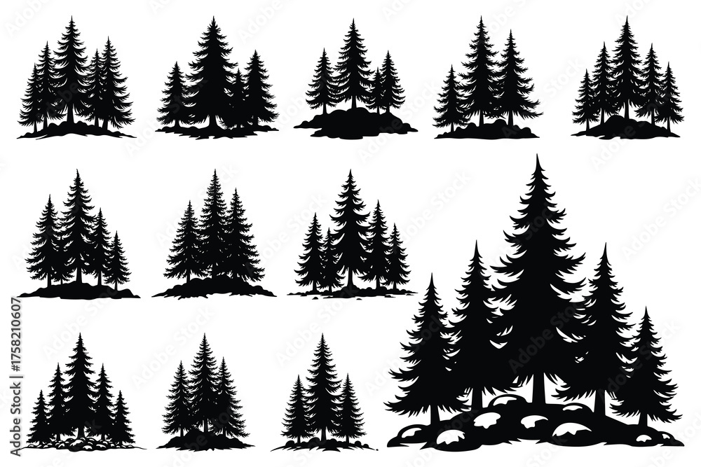Obraz premium Black silhouette pine trees on white background forest