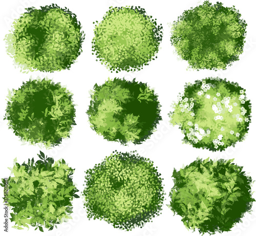 A collection of nine detailed, top-down illustrations of various shrubs and bushes, featuring different textures of green foliage, including one with small white flowers, all set on a white background