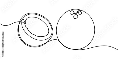 Coconut continuous one line drawing set. Outline coconut fruit icon collections isolated on a white background. Editable stroke. Vector illustration. 