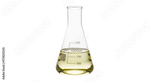 Tableau sur toile Isolated conical flask with yellow liquid inside for chemical experiment in labo