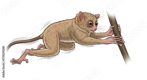 Cartoon Tarsier Climbing a Branch with Big Eyes and Long Fingers.