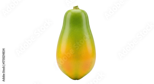 Photography Isolated green-and-orange papaya fruit with a small stem, still ripening on all