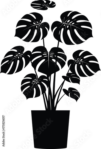 Silhouette of Monstera Deliciosa Potted Plant with Split Leaves for Botanical Vector Art, Minimalist Interior Design, Nature Decor, and Home Use