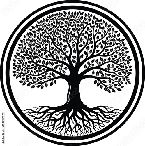Symmetrical tree of life silhouette with roots and branches inside circular frame, symbolizing nature, growth, balance, connection, and harmony vector