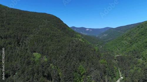 Drone flight above a forested valley in the Spanish Pyrenees