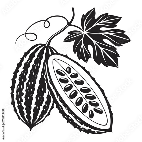 Bitter Melon Plant with Cut Fruit and Leaf Detai