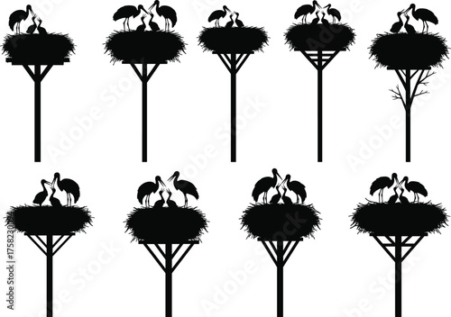 Vector silhouette set of storks nesting on poles and trees with eggs, showing wildlife care, nature behavior, and habitat diversity