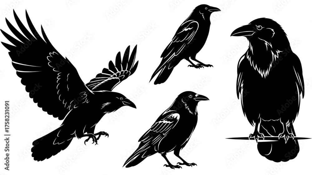 Fototapeta premium Raven silhouettes A collection of black crows in various poses, artistic design