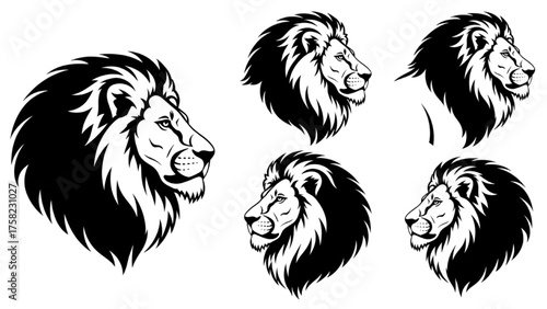 Collection of Six Stylized Lion Head Illustrations in Profile View