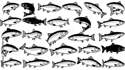 Salmon Fish Variety Diverse Styles for Design Projects, Food Illustration