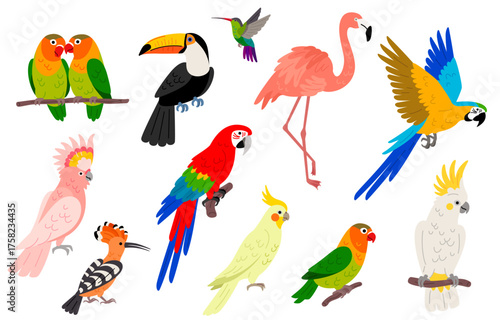 Different parrots flat icon set isolated on white background. Vector illustration. Macaw bird, lovebirds, hawaiian cockatiel, hoopoe. Exotic toucan, cockatoo, flamingo, flying hummingbird.