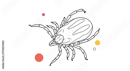An informative guide to identifying and preventing tick bites for outdoor enthusiasts.