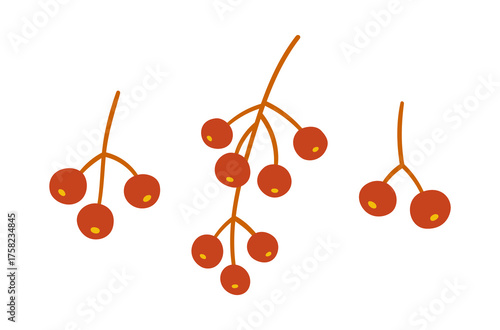 Set of seeds virginia creeper, berries on twigs, red and brown colors. Vector simple hand-drawn element on a white background for stickers, web design, and postcards