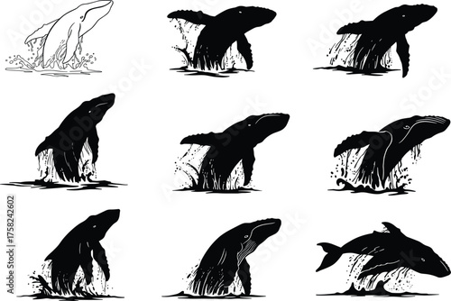 Whale breaching sequence in silhouette and line art styles, dynamic ocean splash motion with artistic posture and water movement variations