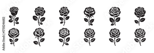 Outline Roses Clipart – Black Floral Elements
