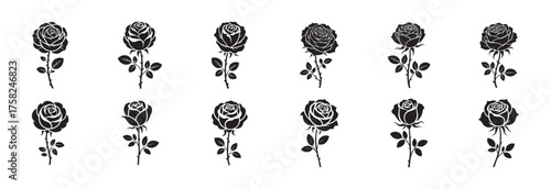 Rose Flowers Vector Bundle – Monochrome Style