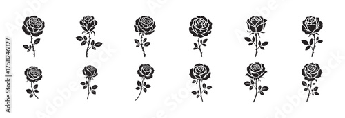 Decorative Vintage Roses Vector Art Pack
