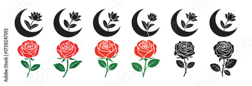 set of tulips vector