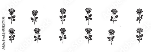 Beautiful Rose Flower Icons – Vector Collection