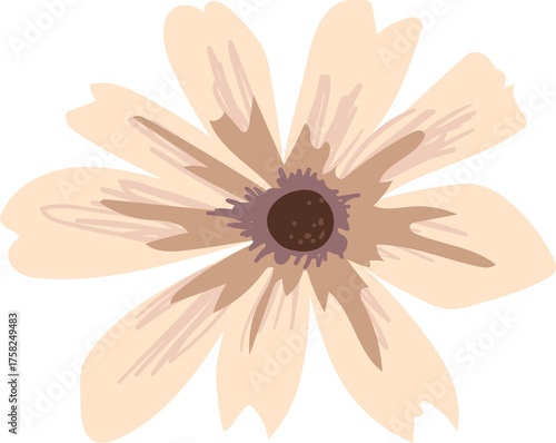 Beige Flower Illustration with Brown Center