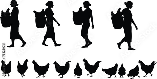 "Women carrying baskets with chickens farm silhouettes, poultry walking sequence, agricultural lifestyle vector illustration for rural culture and farming design"