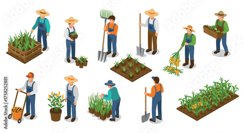 Isometric farming activities with farmers growing and harvesting crops