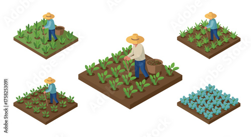 Isometric farming concept with cartoon farmer tending to diverse crops in field