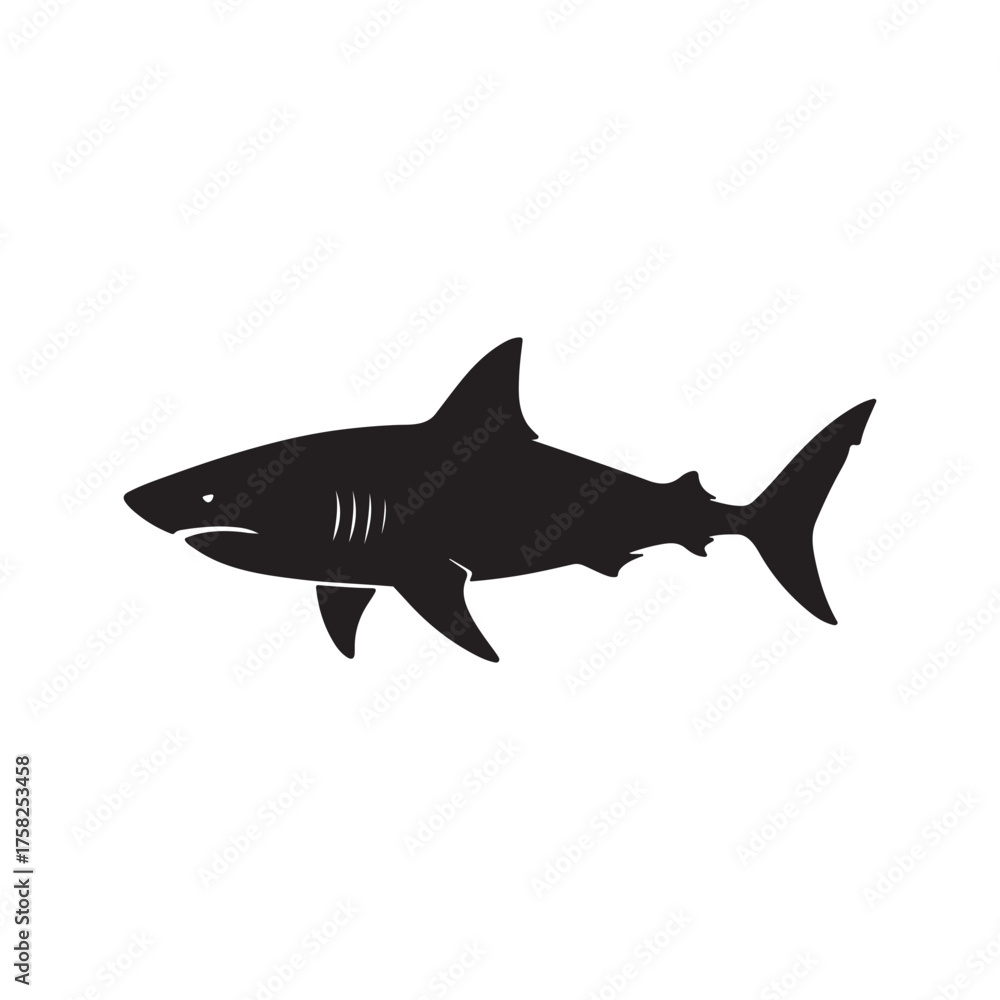 Fototapeta premium shark vector illustration