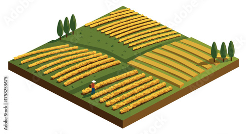 Isometric crop field with farmer on pristine farmland