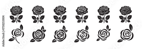 Rose Flower Silhouette Collection for Graphic Design