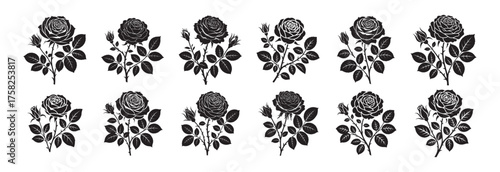 Minimalist Rose Clipart Bundle in Black and White