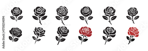 Vintage Botanical Roses Illustration Pack