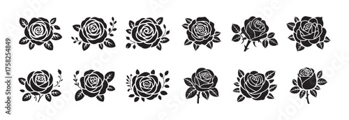 Set of Blooming Roses in Vintage Style
