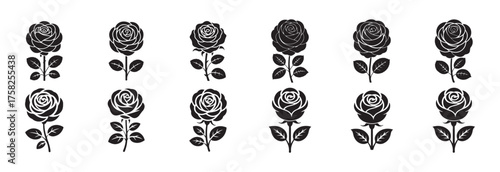 Vector Rose Symbols in Black and White