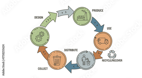 Comprehensive diagram outlining the circular economy principles design, production, usage, collection, distribution, and recovery, promoting sustainability