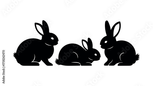 rabbits bunnies hares animals