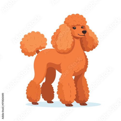 Cartoon Orange Poodle with Fluffy Fur Standing Upright