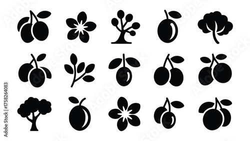 Black and White Vector Graphics of Plums Trees and Blossoms Set