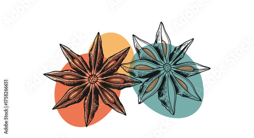 Two star anise pods with colorful blobs in the background.